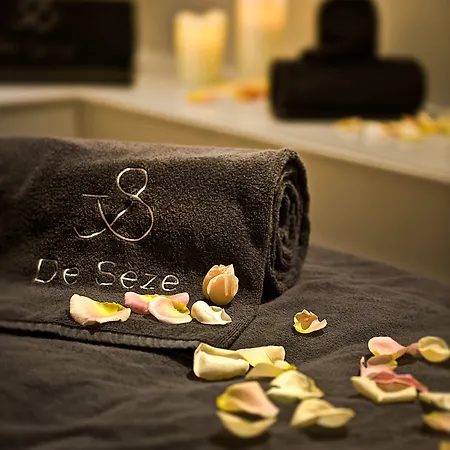 De Seze & Centre Bordeaux